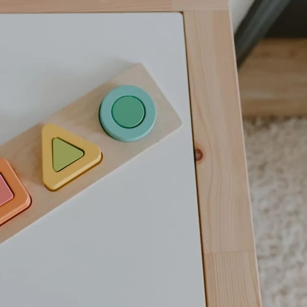 Montessori Şekil Eşleştirme Tablası