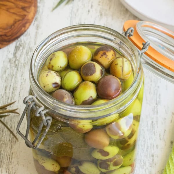 Zeytin ve Zeytinyağı