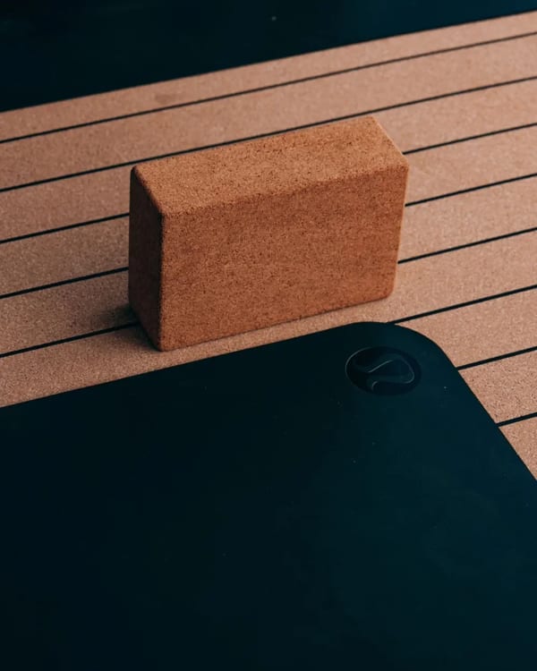 Mantar Yoga Bloğu